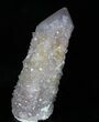 Cactus Quartz (Amethyst) Crystal - South Africa #33619-3